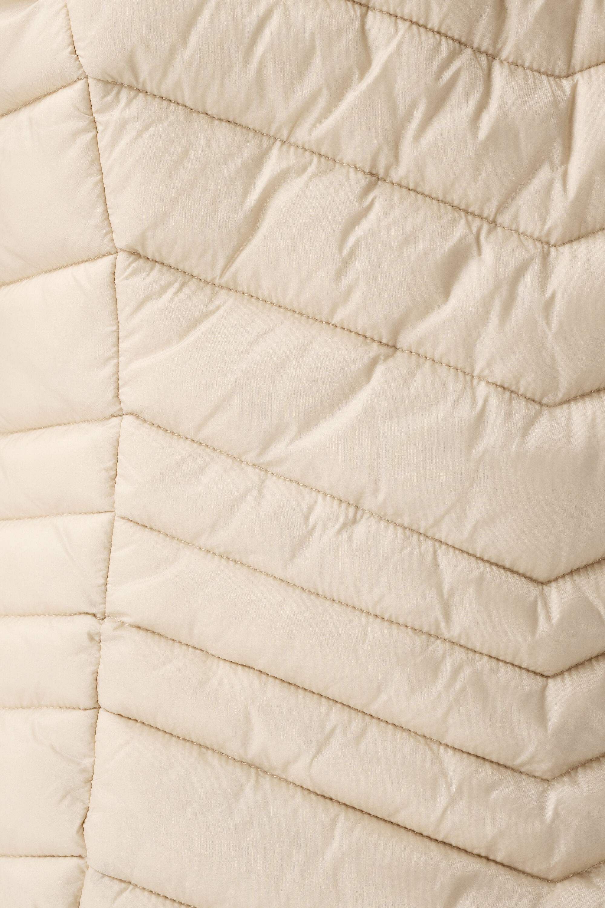 Chaqueta ligeramente acolchada image number 6