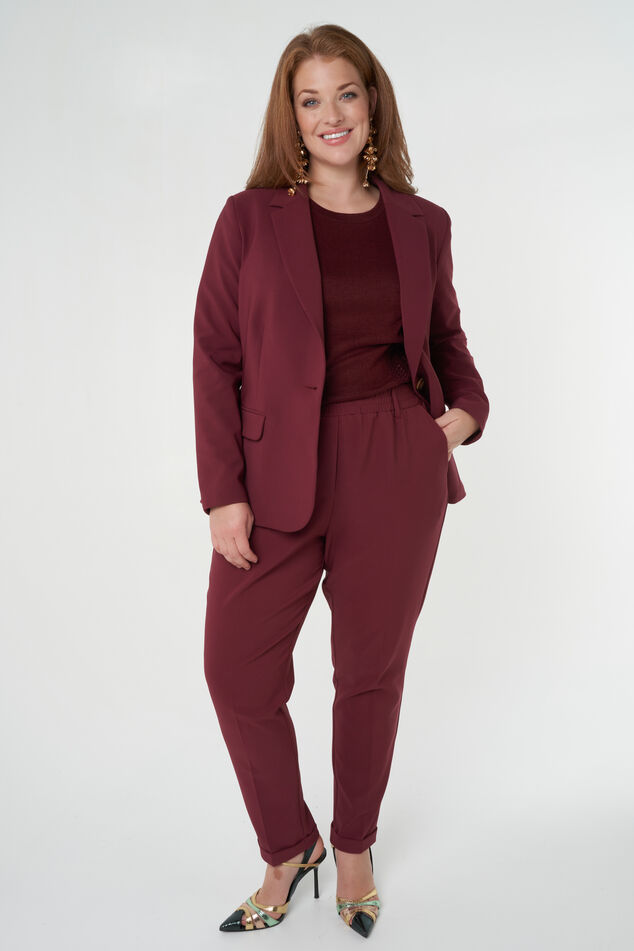 Blazer con cierre de botón image number 0