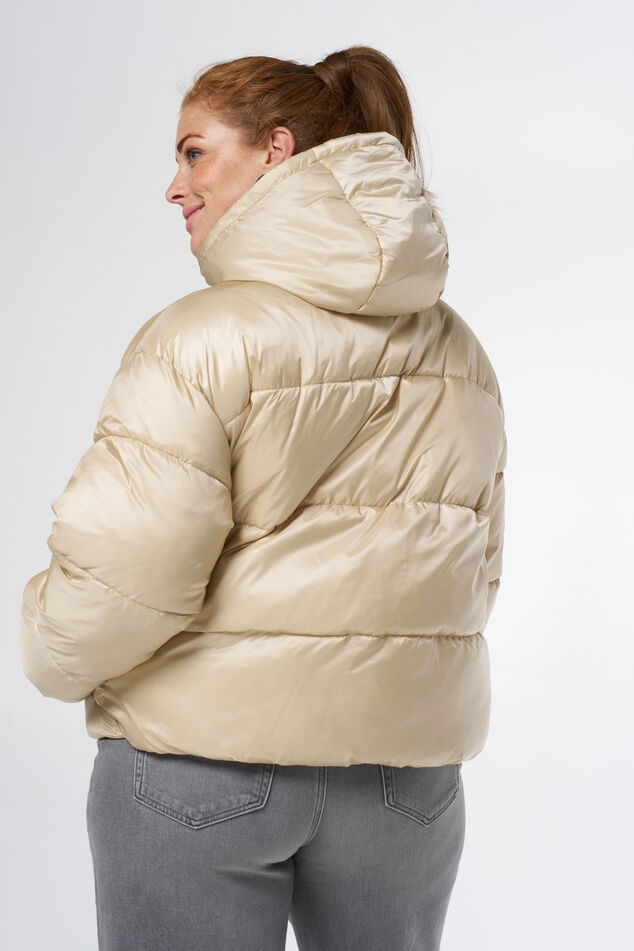 Chaqueta corta acolchada image number 3