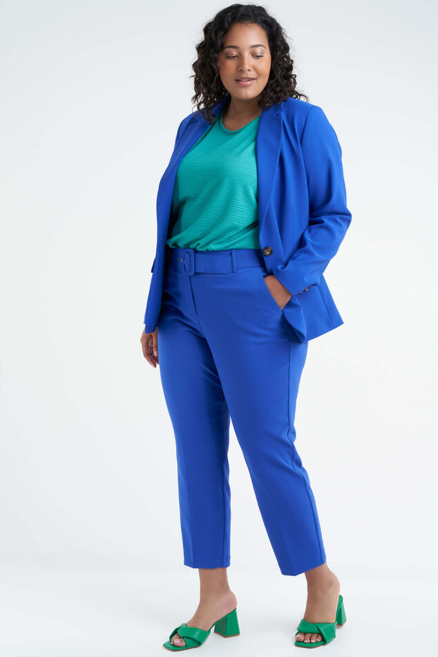 Blazer  image number 6