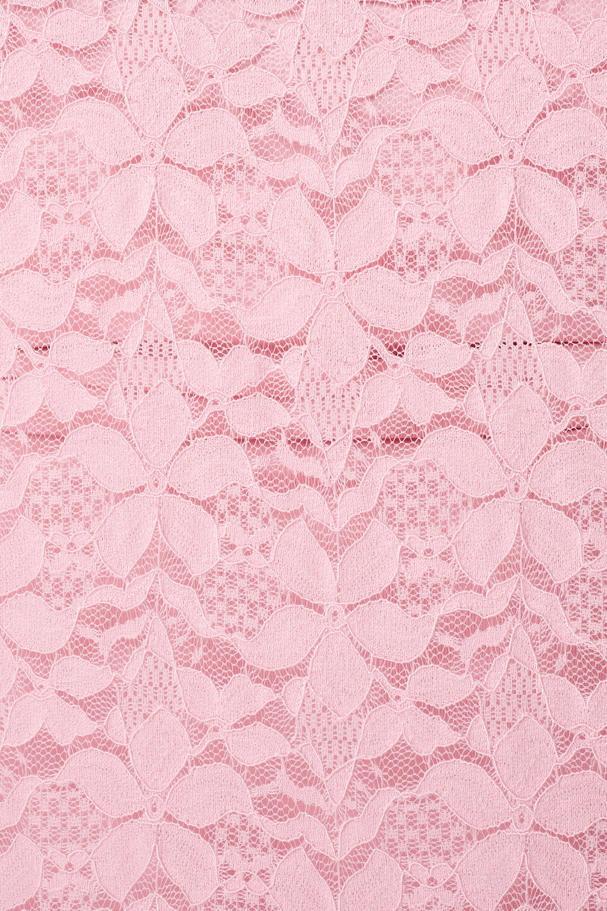 Top de encaje con mangas cortas image number 6