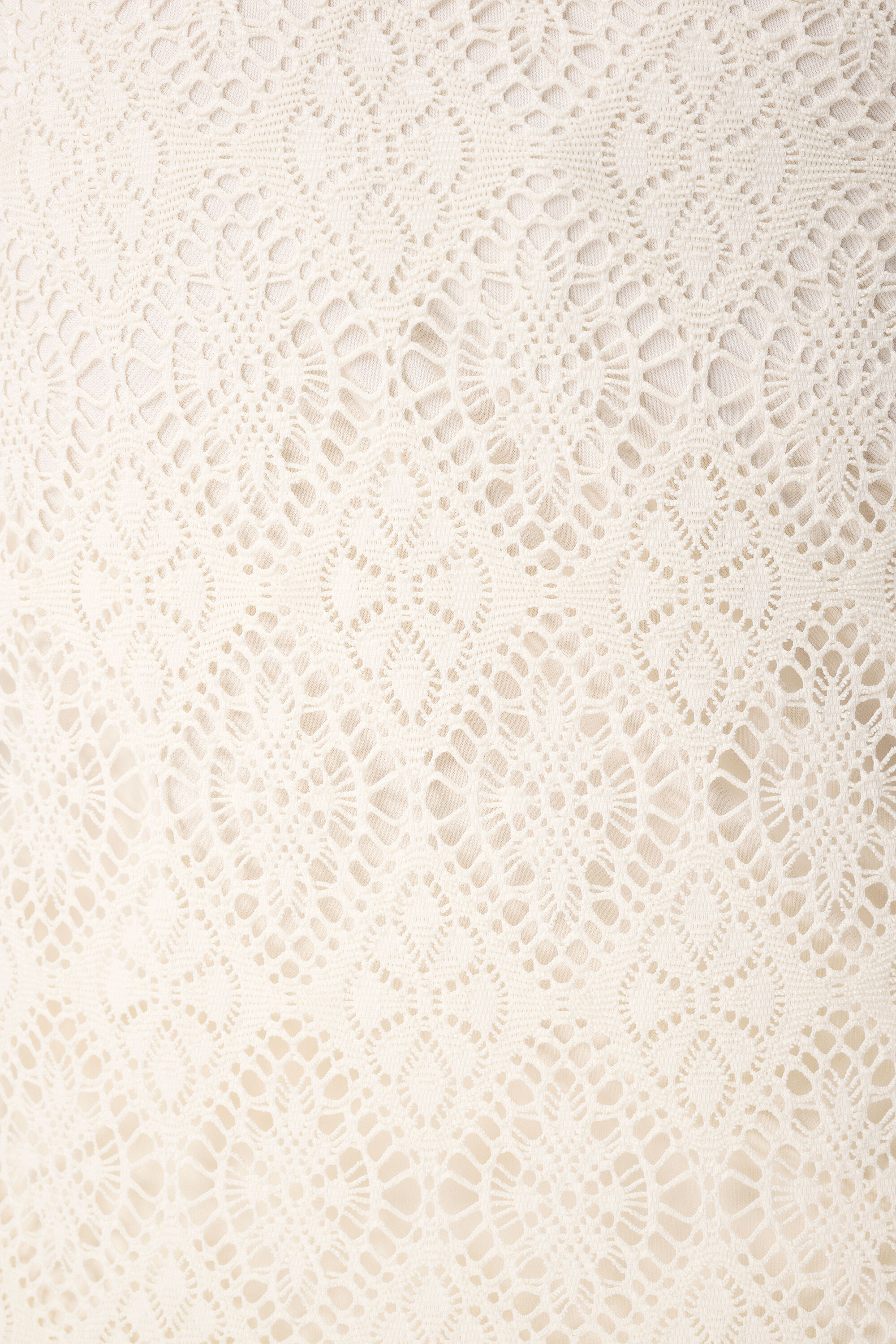 Top de encaje con manga corta  image number 6