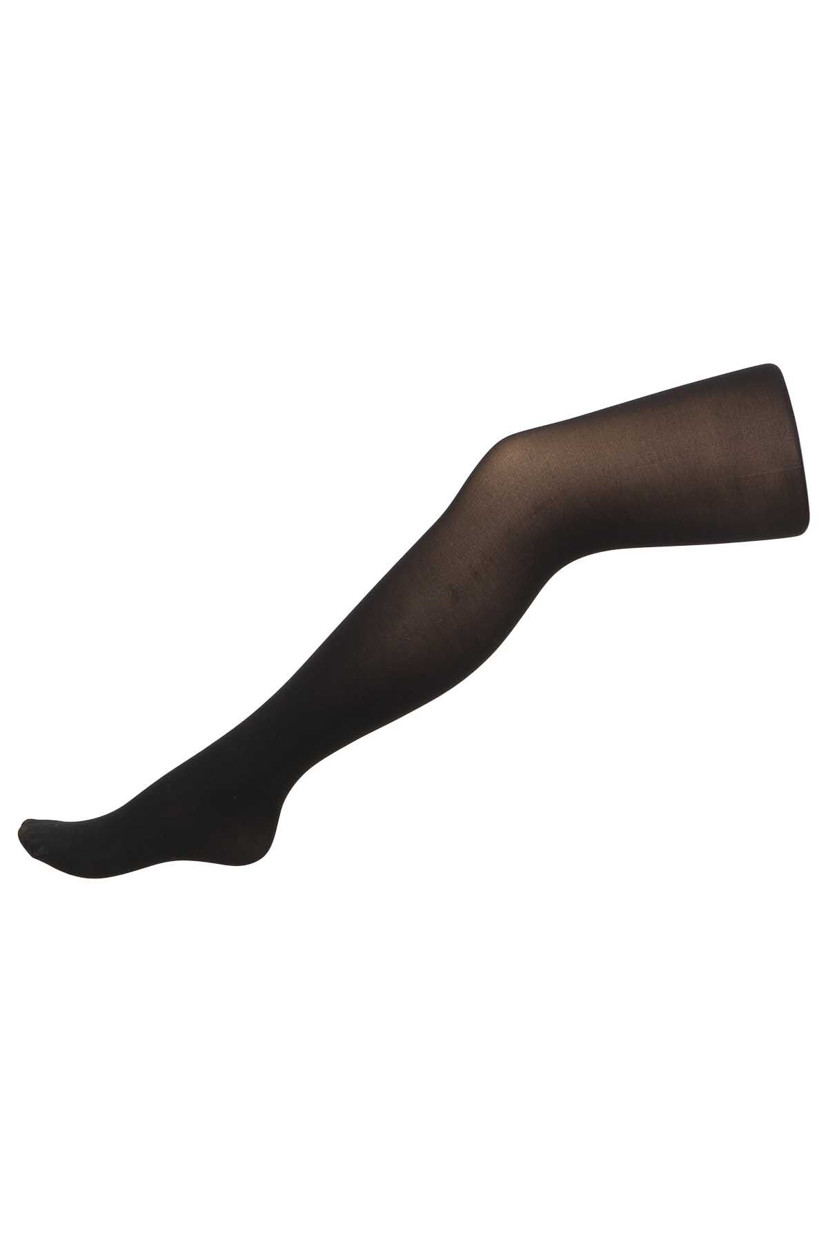 Panty b&aacute;sica 40 deniers image number 1