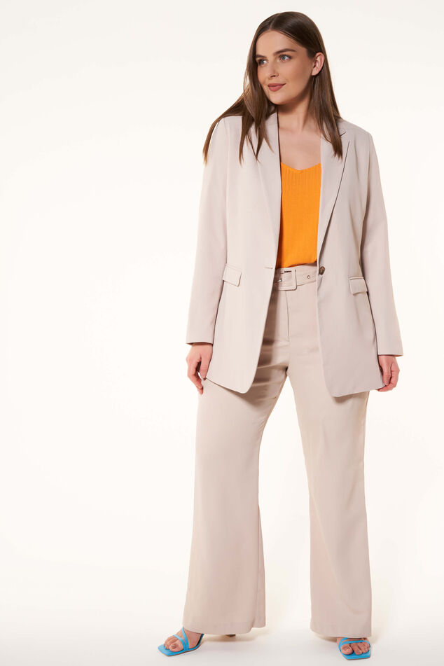 Blazer  image number 5