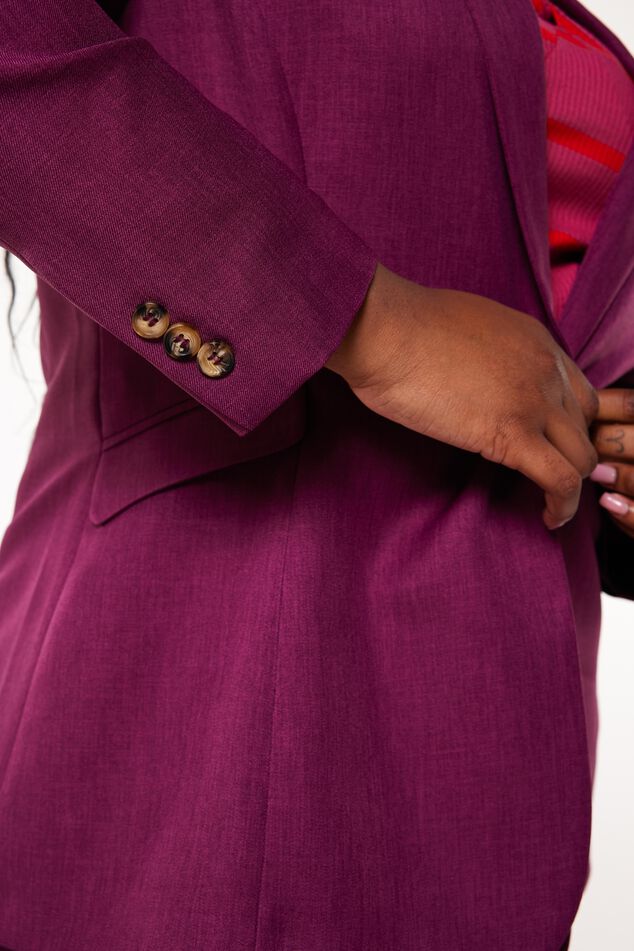 Blazer  image number 5