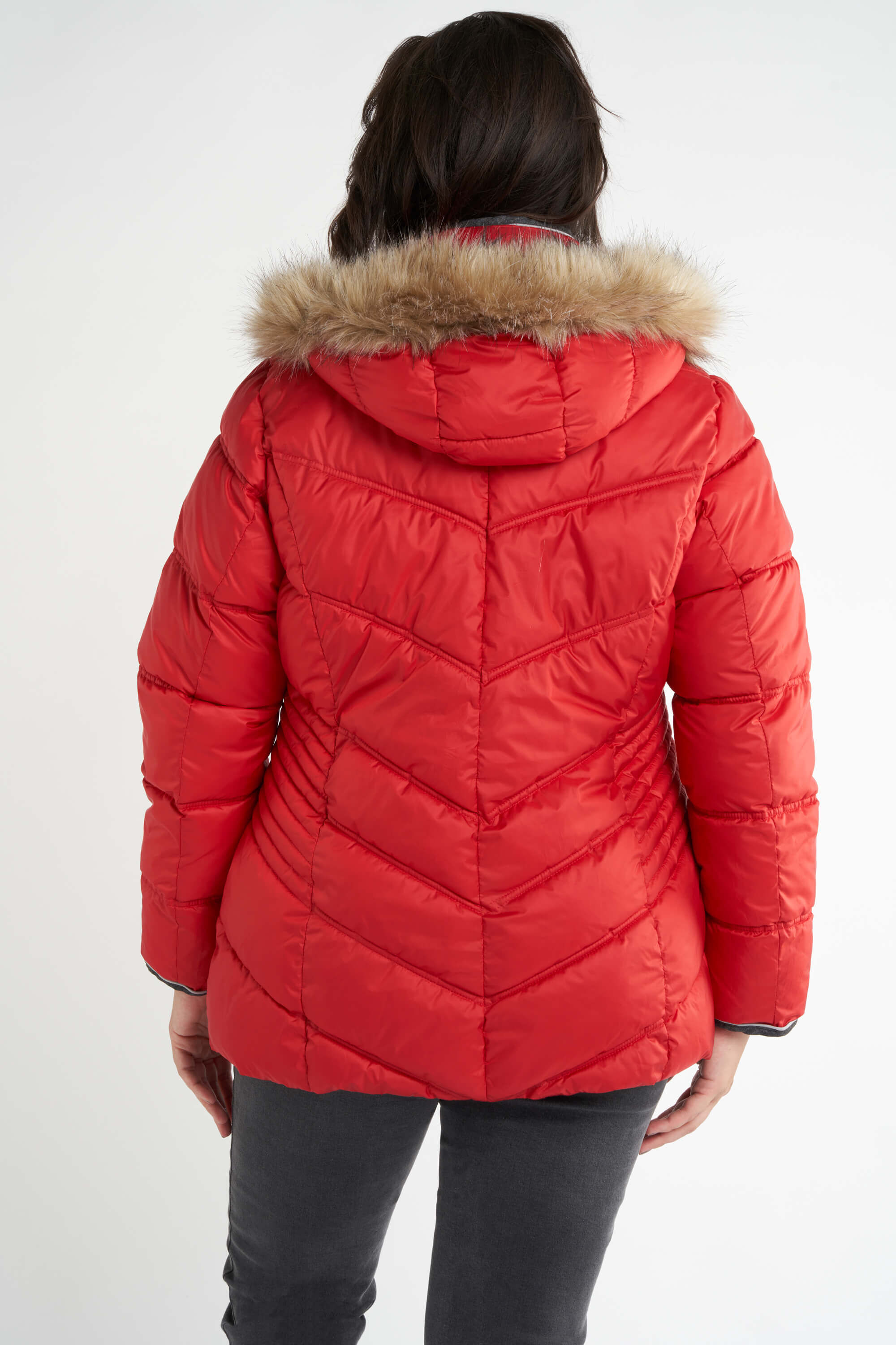 Chaqueta acolchada  image number 4