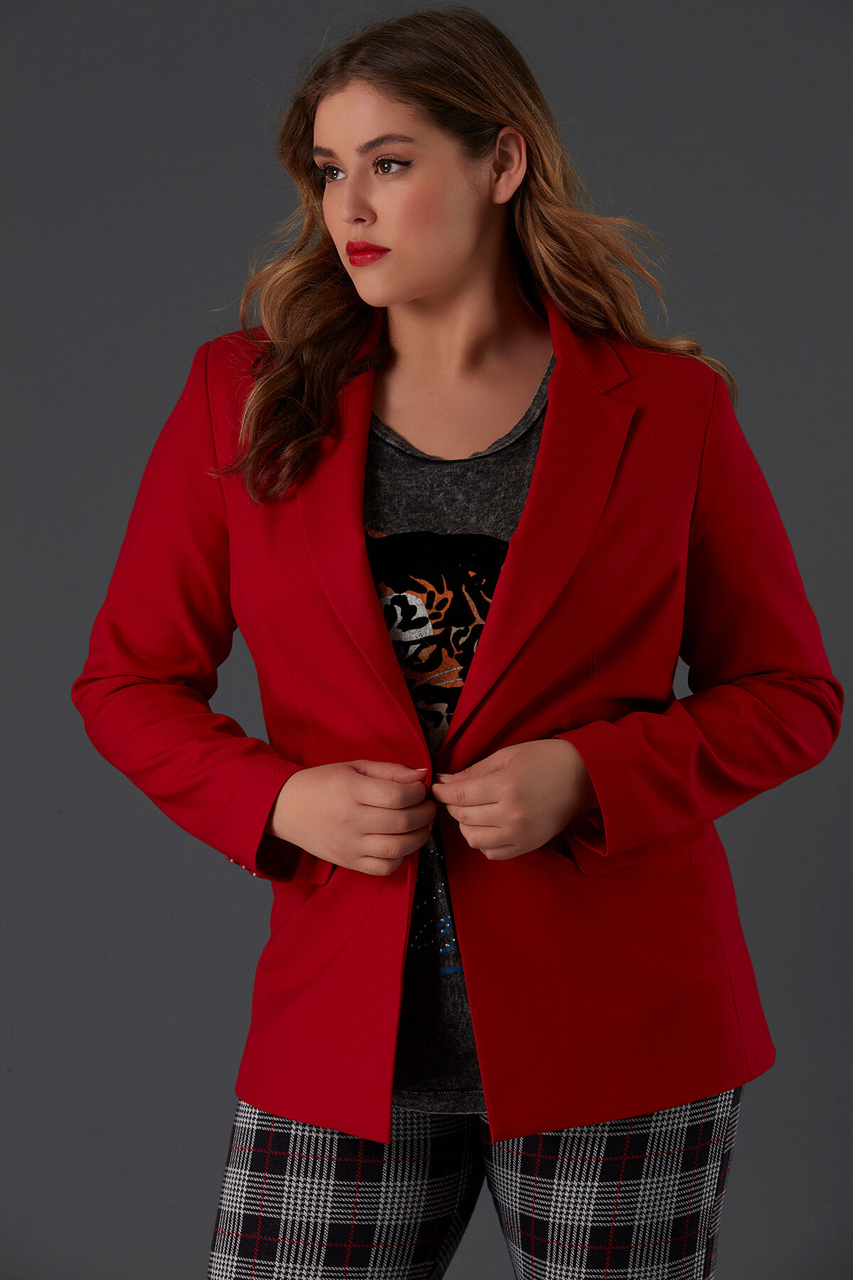Blazer image number 4