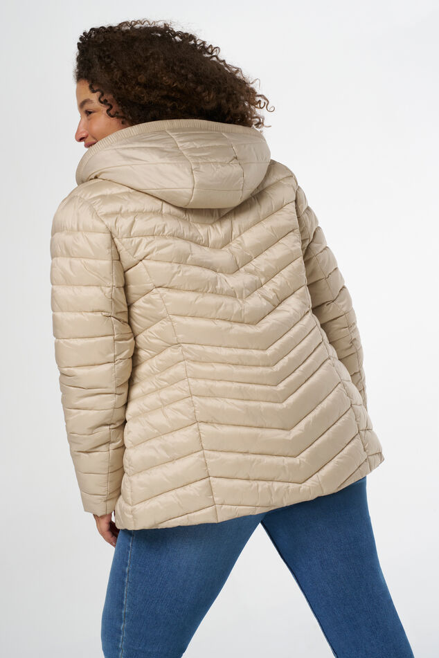 Cazadora ligera acolchada  image number 3