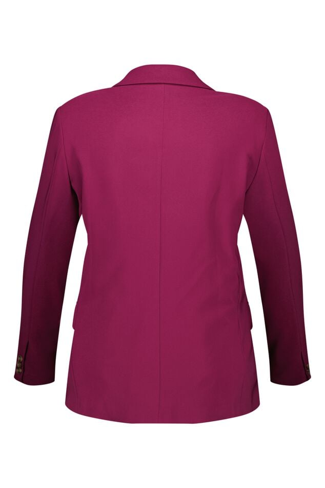 Blazer  image number 3