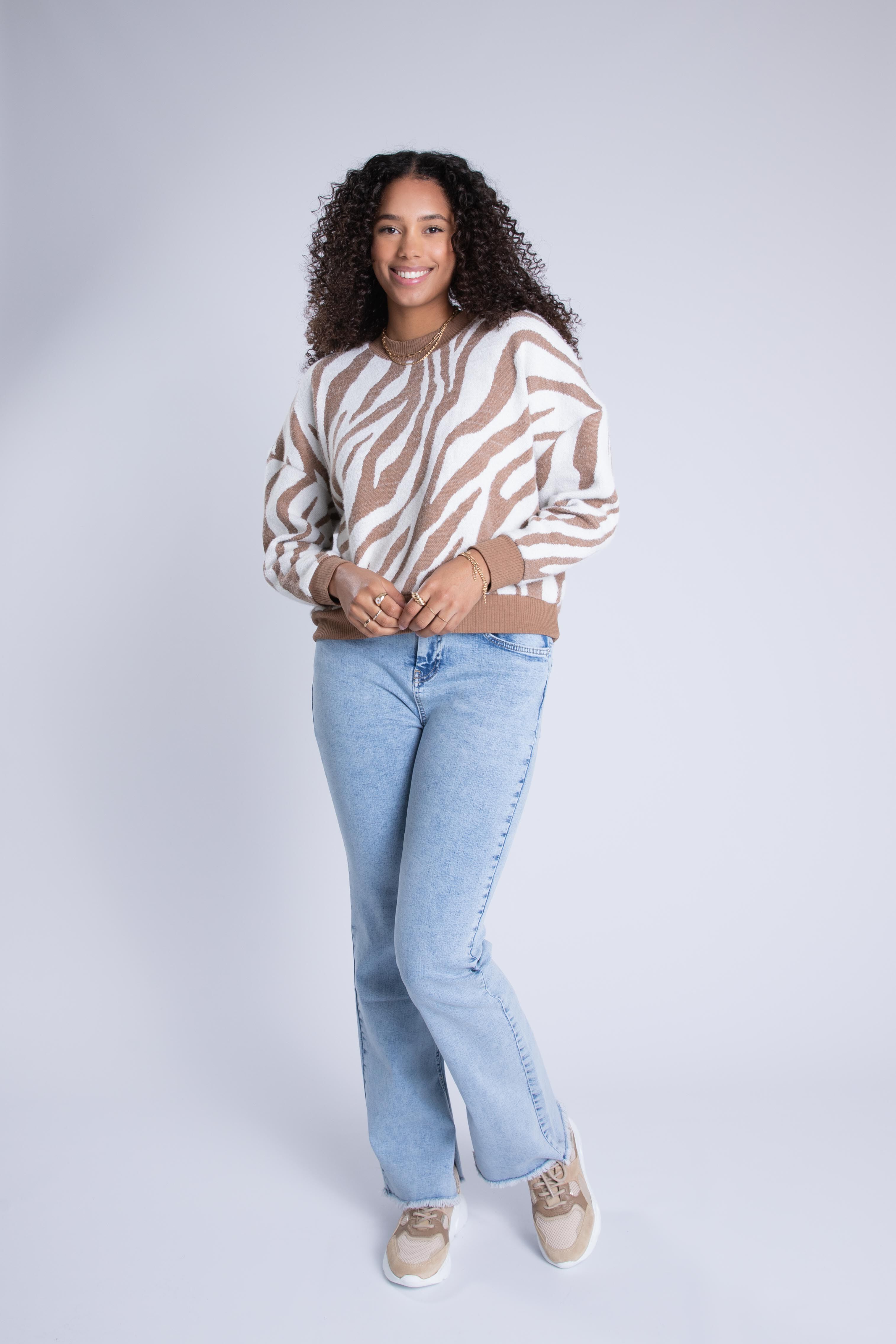 Su&eacute;ter con estampado de cebra  image number 6