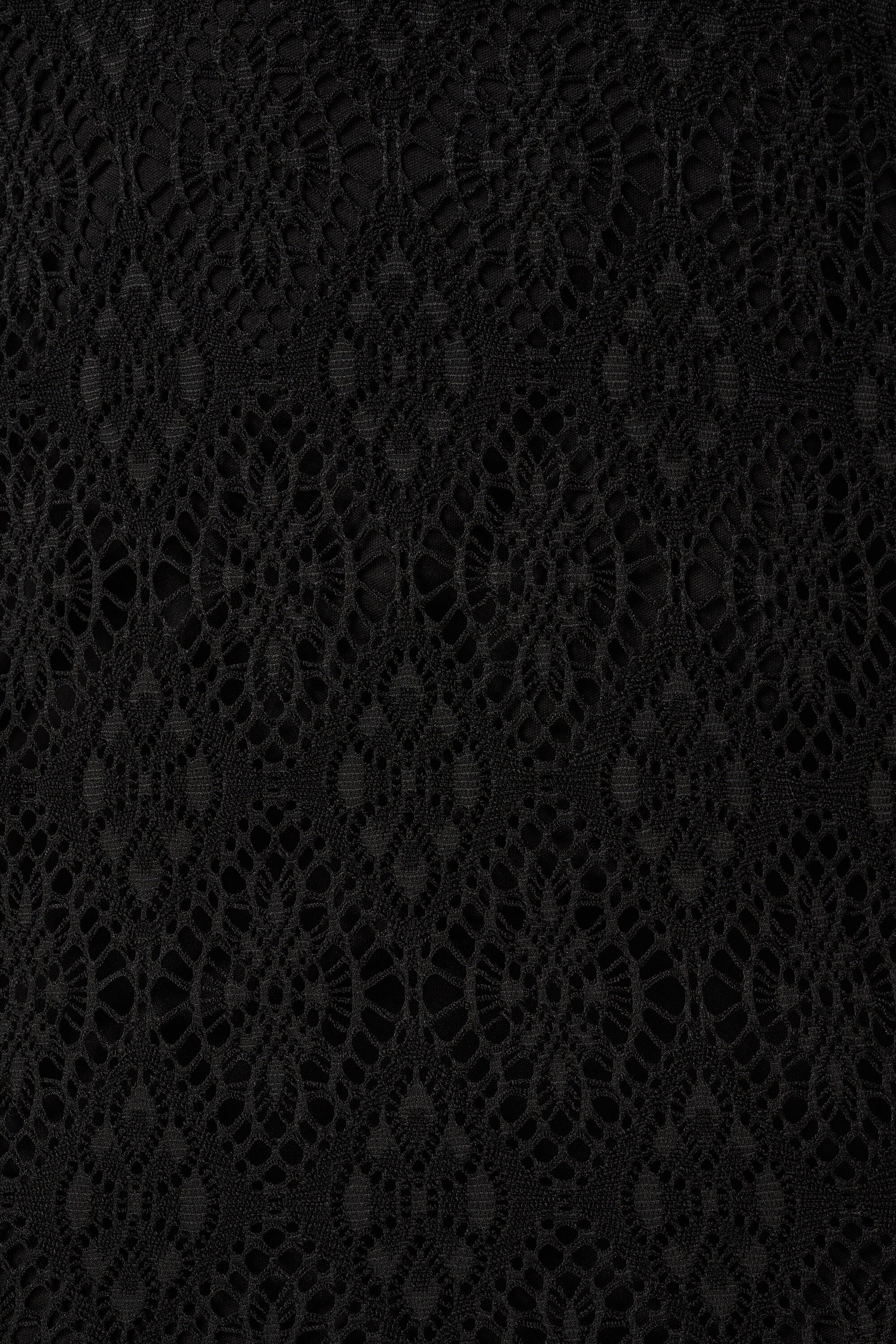 Top de encaje con manga corta  image number 6