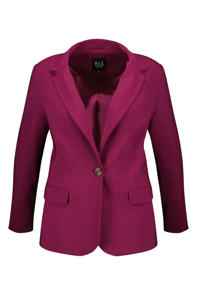 Blazer  image number 2