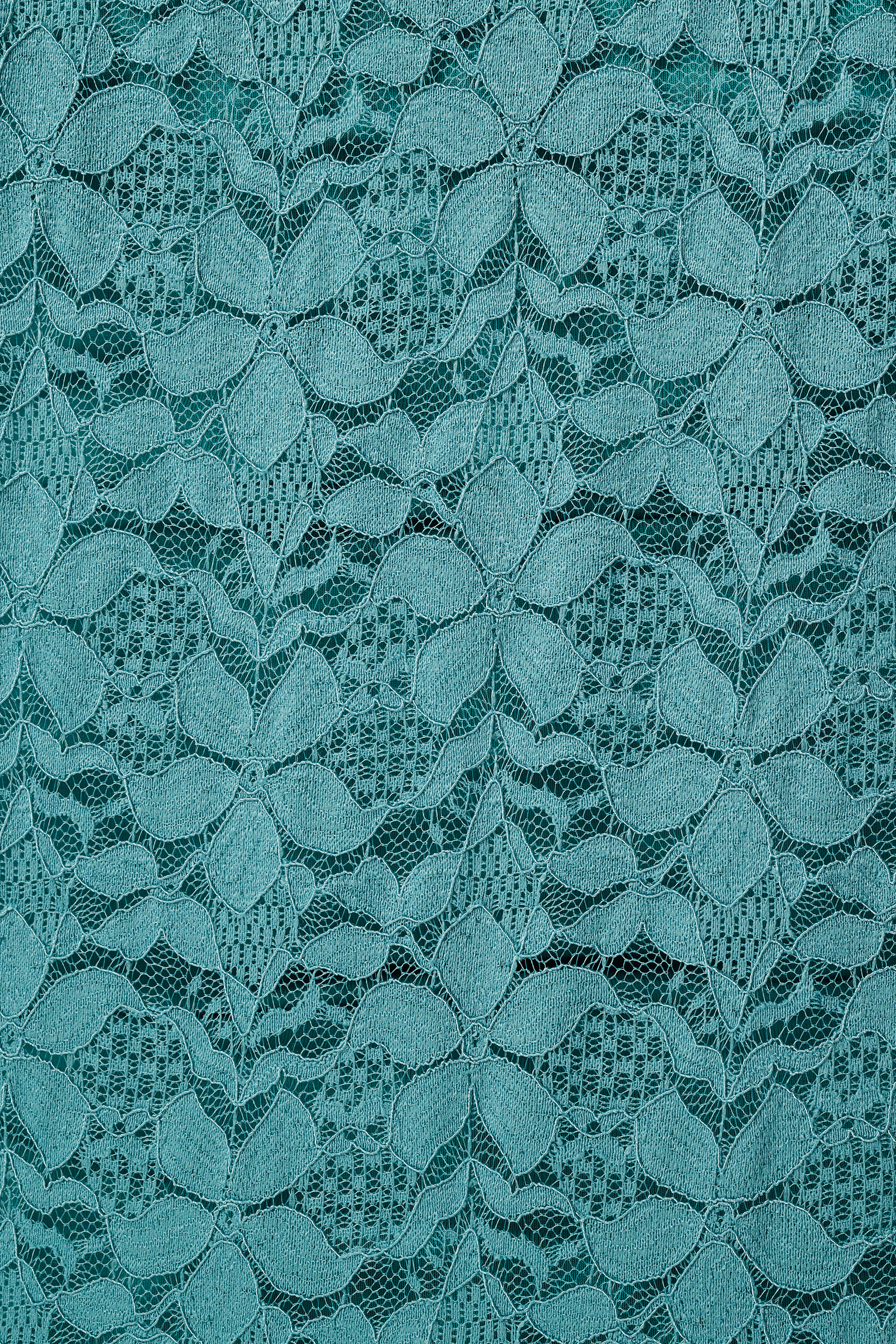 Top de encaje con mangas cortas image number 6