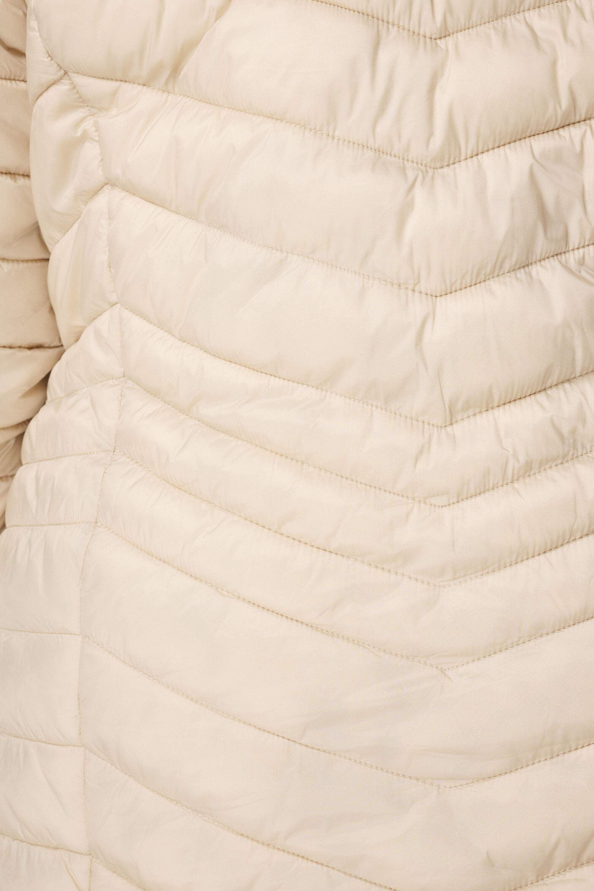Chaqueta ligeramente acolchada image number 6