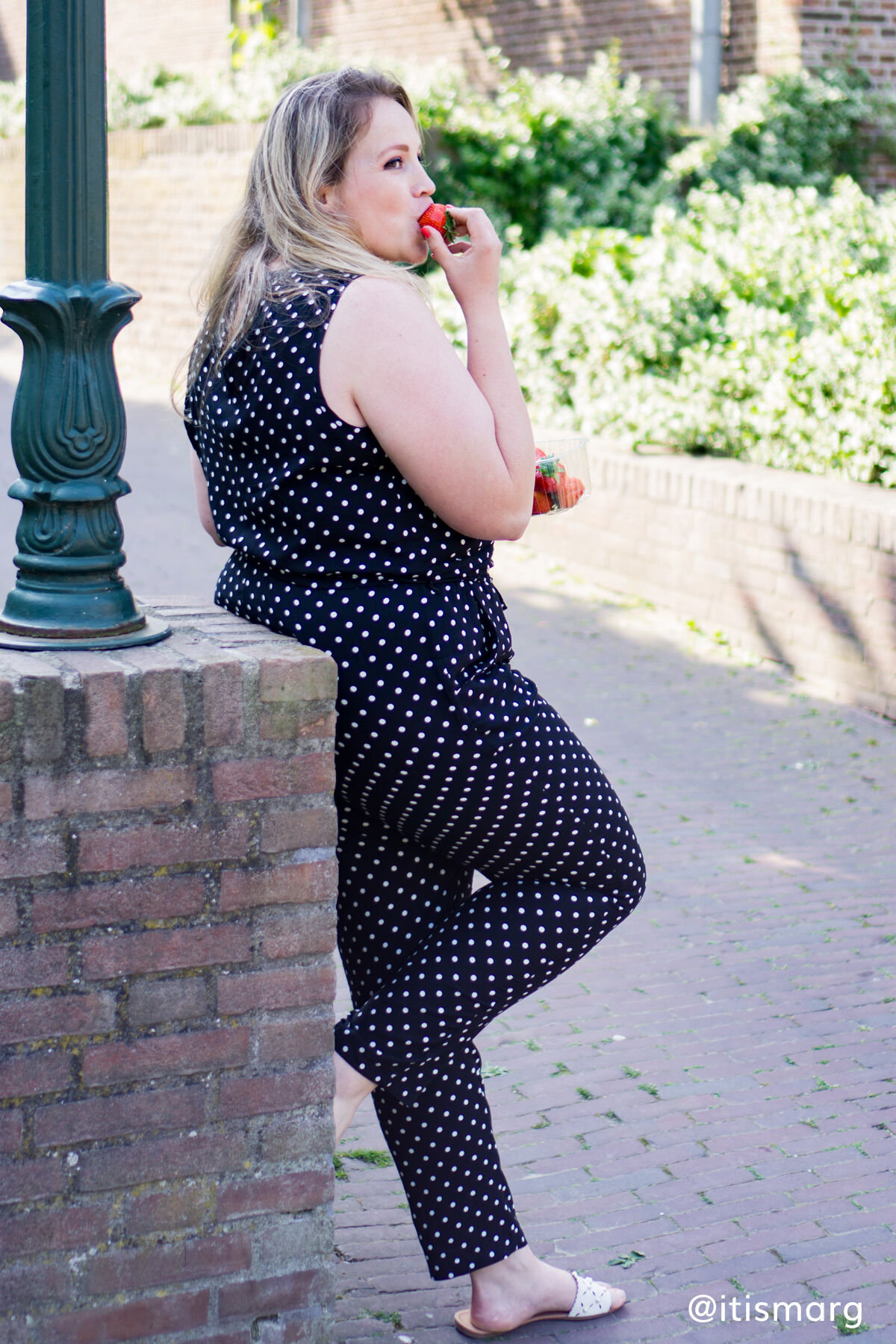 Mono de lunares image number 3