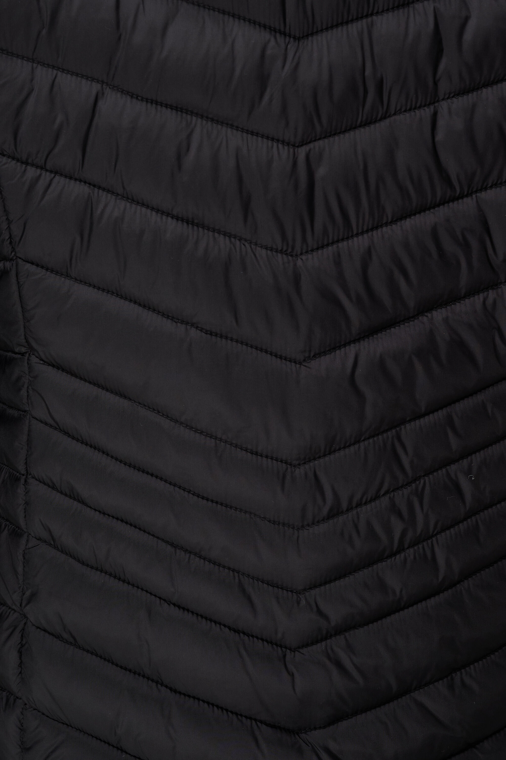 Chaqueta ligeramente acolchada image number 6