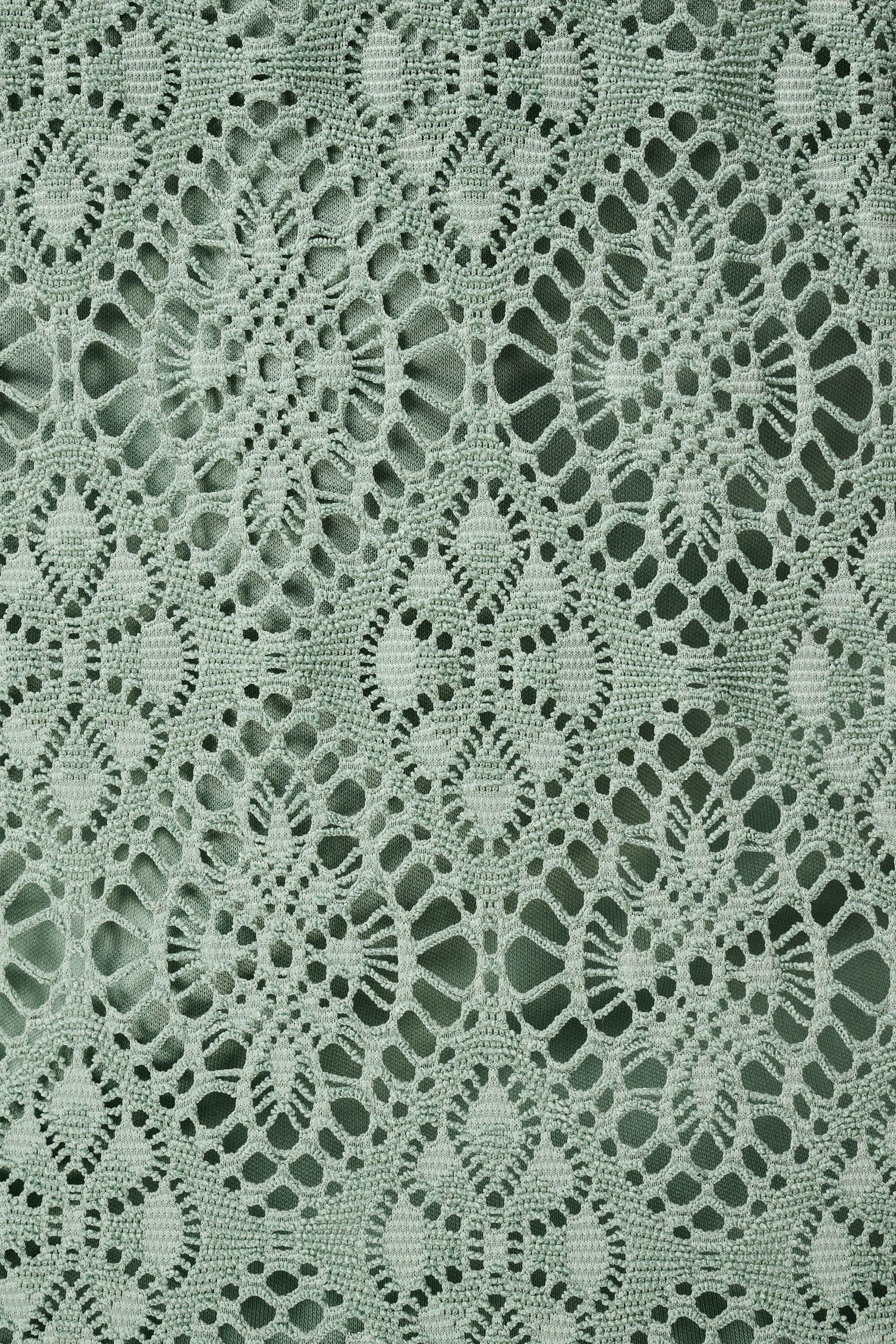 Top de encaje con manga corta  image number 6