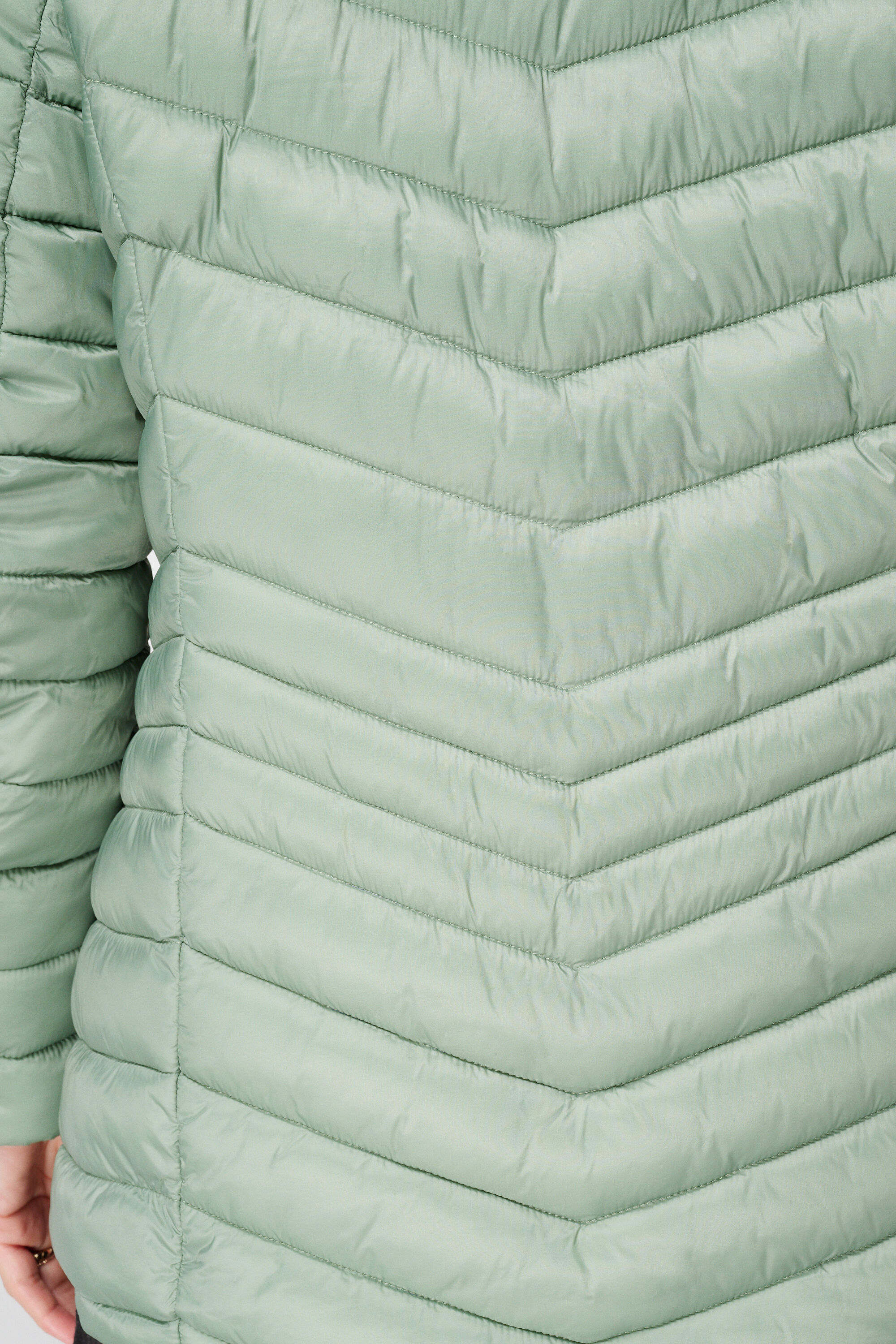 Chaqueta ligeramente acolchada image number 6