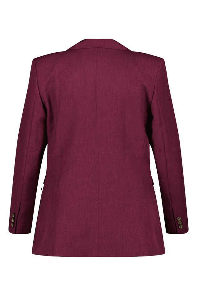 Blazer  image number 3