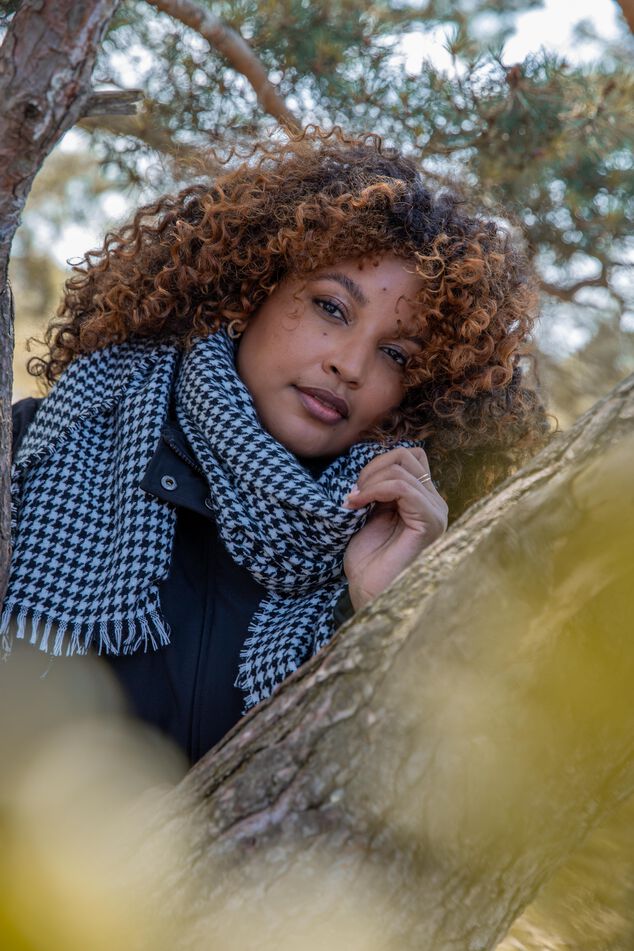 Bufanda con estampado pata de gallo image number 0