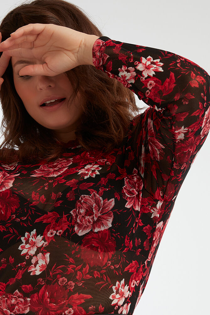 Top transparente image number 6