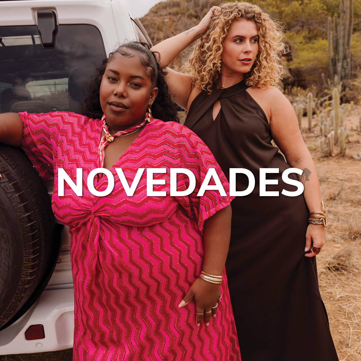 Novedades