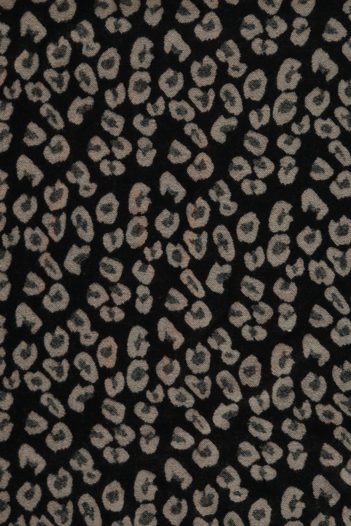 Mujeres en MS Mode®