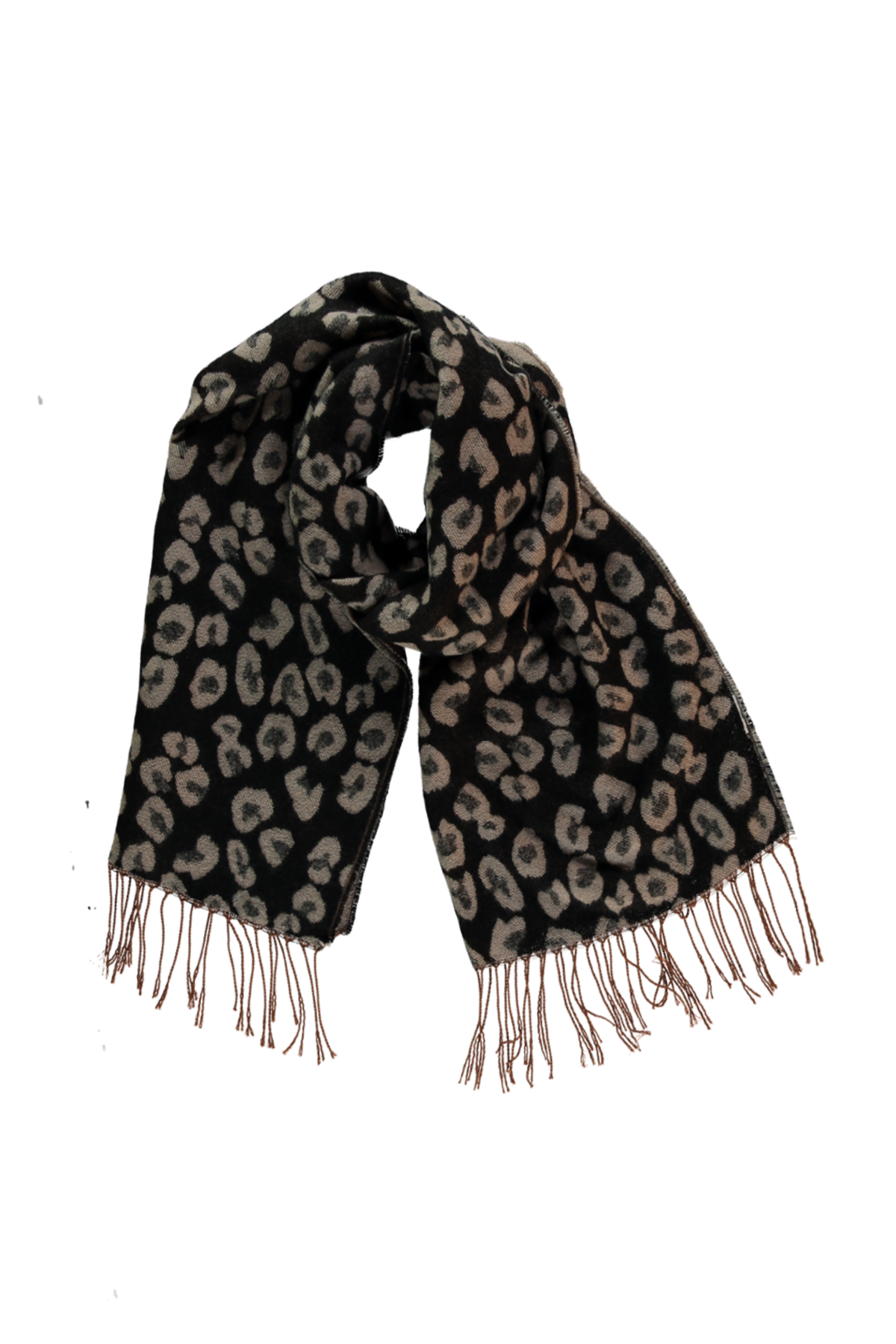 Mujeres en MS Mode®